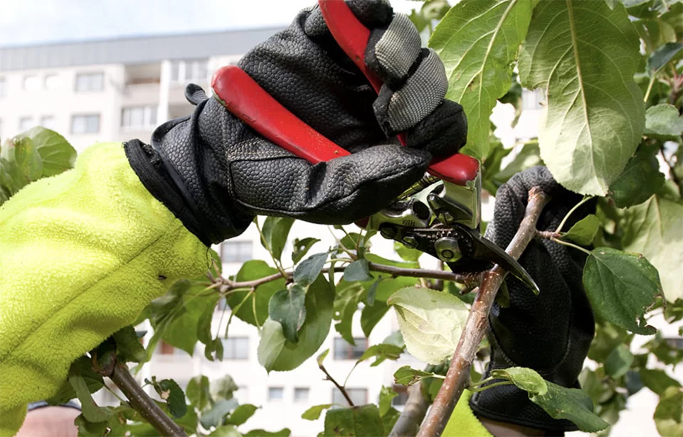 Skärmavbild 2019 11 21 kl. 14.27.12